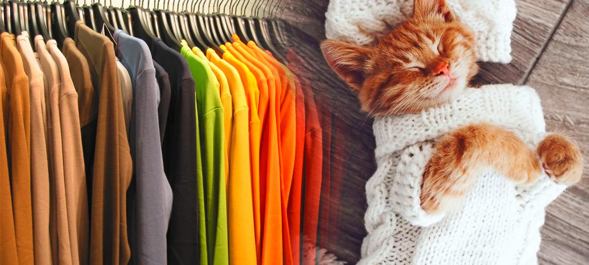 Как делать классные покупки в магазинах подержанных вещей?