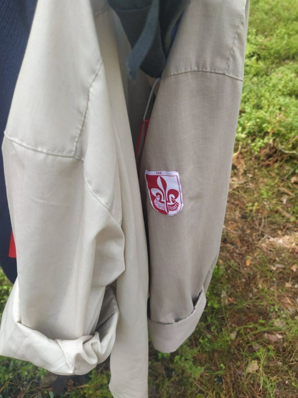 Скаутский шеврон