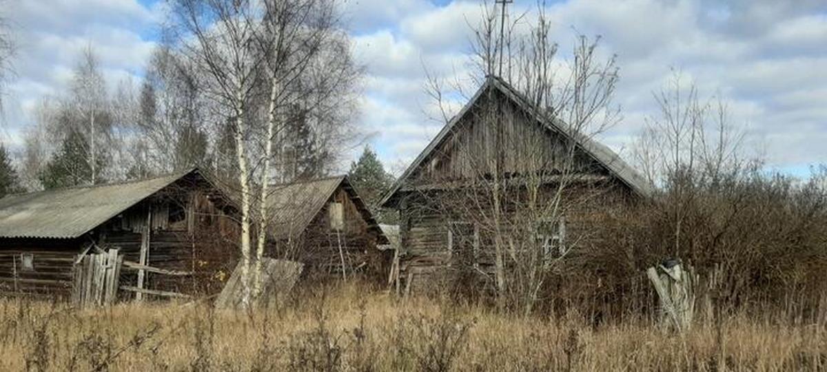Дом, деревня, Беларусь