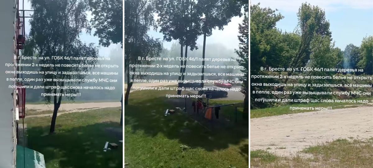 В Бресте на территории Брестской крепости палят деревья. Скриншот видео в TikTok