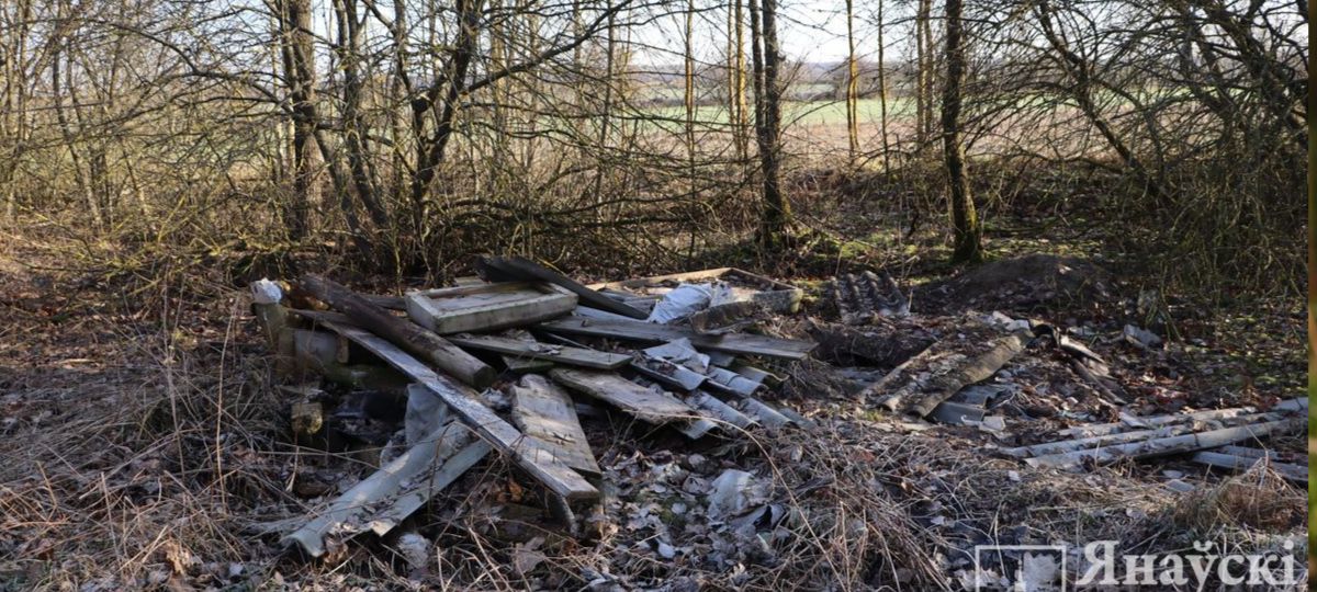 Мусор, Иваново, лес, отходы