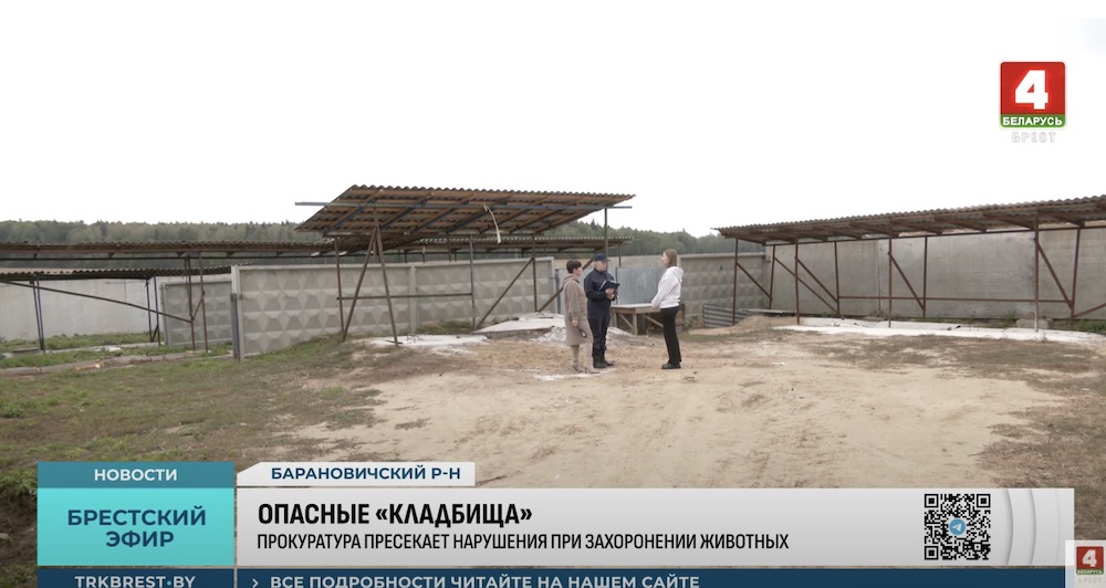 Прокуроры Брестчины и ветврач на скотомогильнике в Барановичском районе.