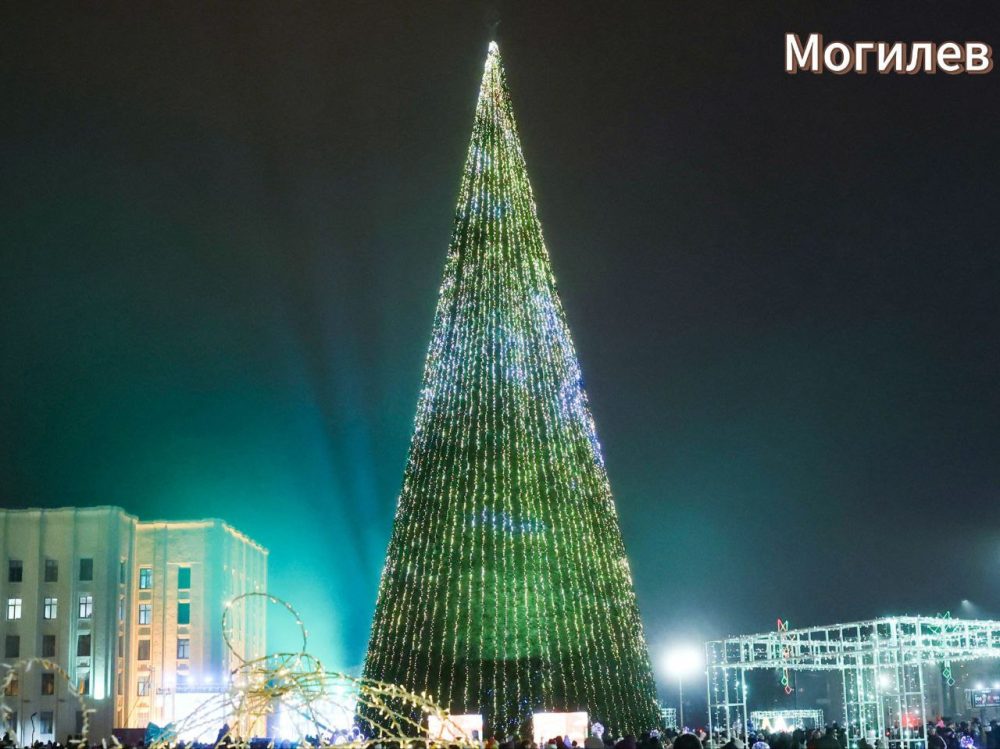 елка в Могилеве