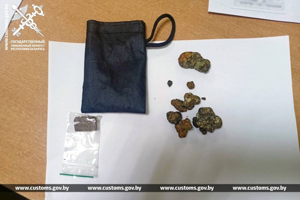 Грибы с психотропом, которые таможенники нашли у гродненца. Фото: ГТК