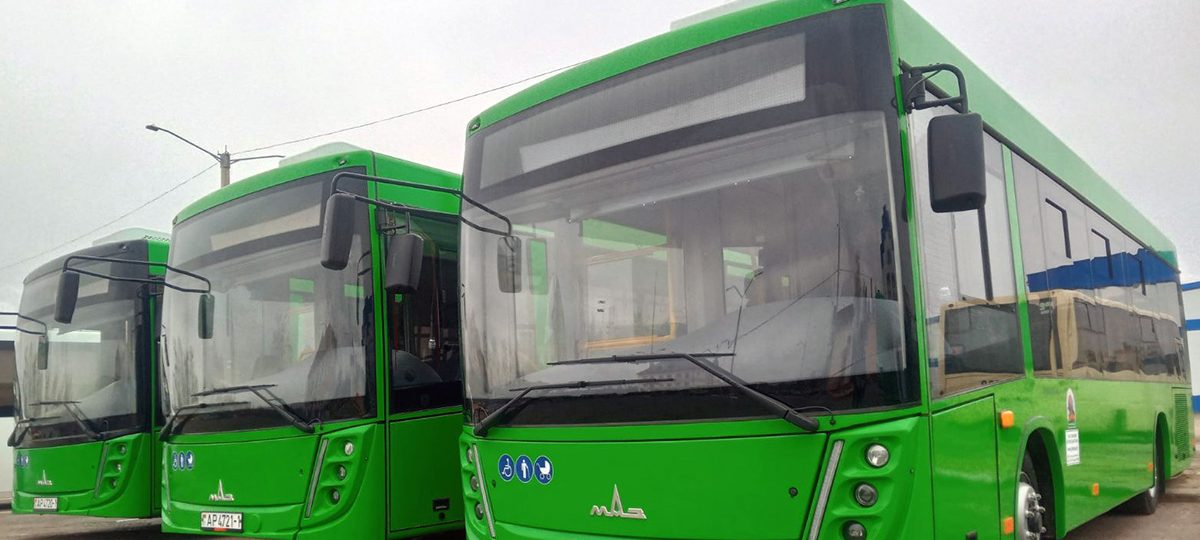 автобусы МАЗ