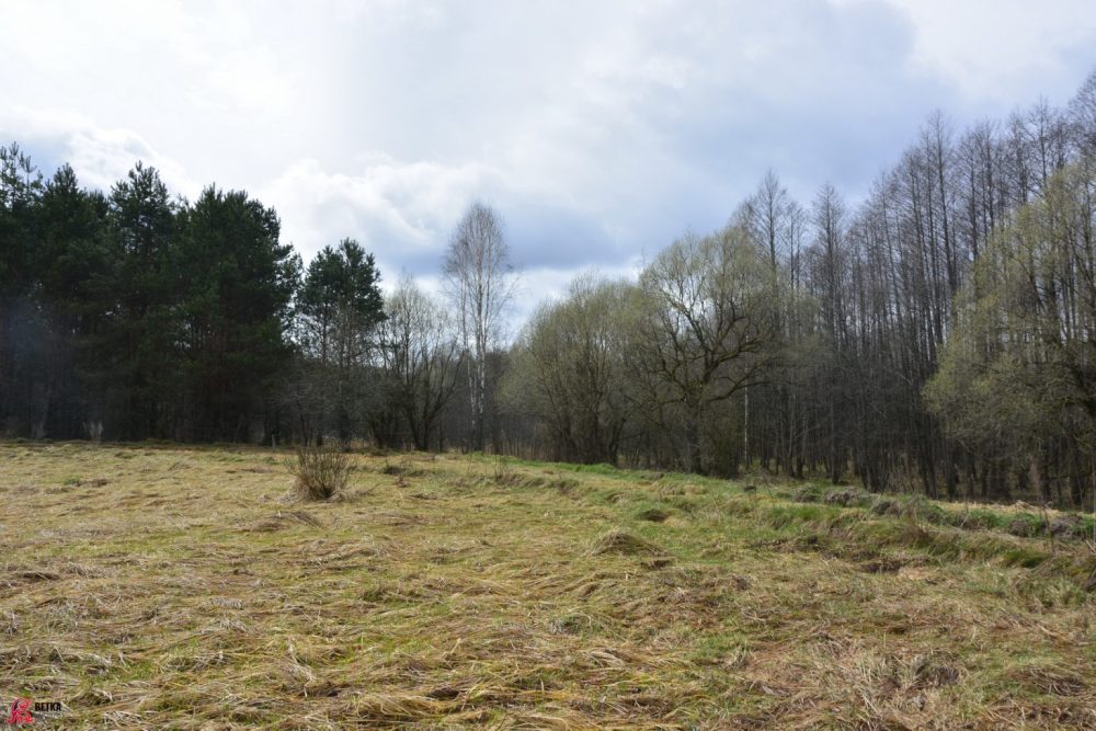 пустое поле