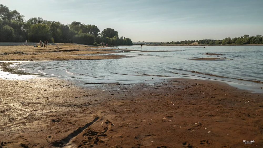 Как обмелела Припять в Мозыре. Фото: vitalii__fotograf из Мозыря