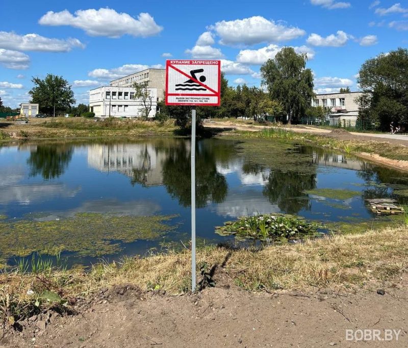 Озеро, которое просят почистить жители Бобруйска. Фото: bobrlife.by