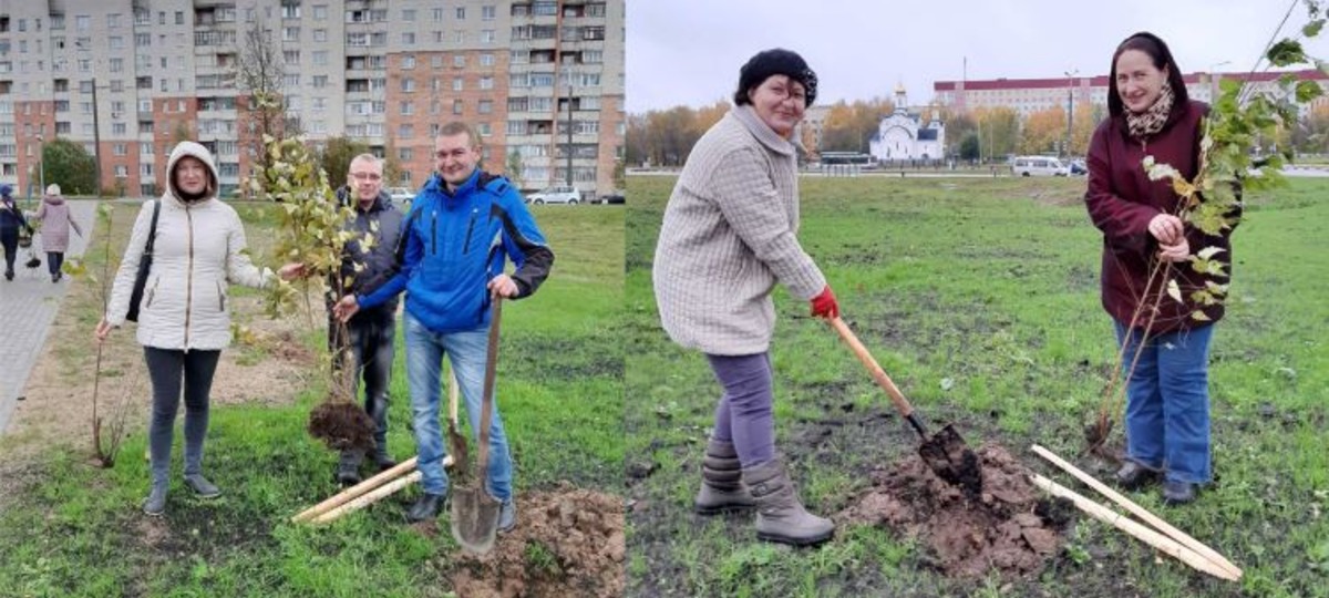 Работники ОАО «Веста» высаживают деревья в парке 1000-летия Витебска