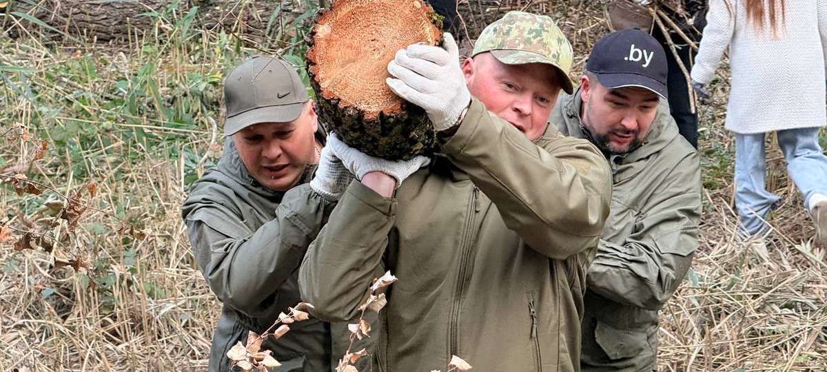 Благоустройство территории возле пляжа «Заречный» в Бресте. Фото: Брестский горисполком